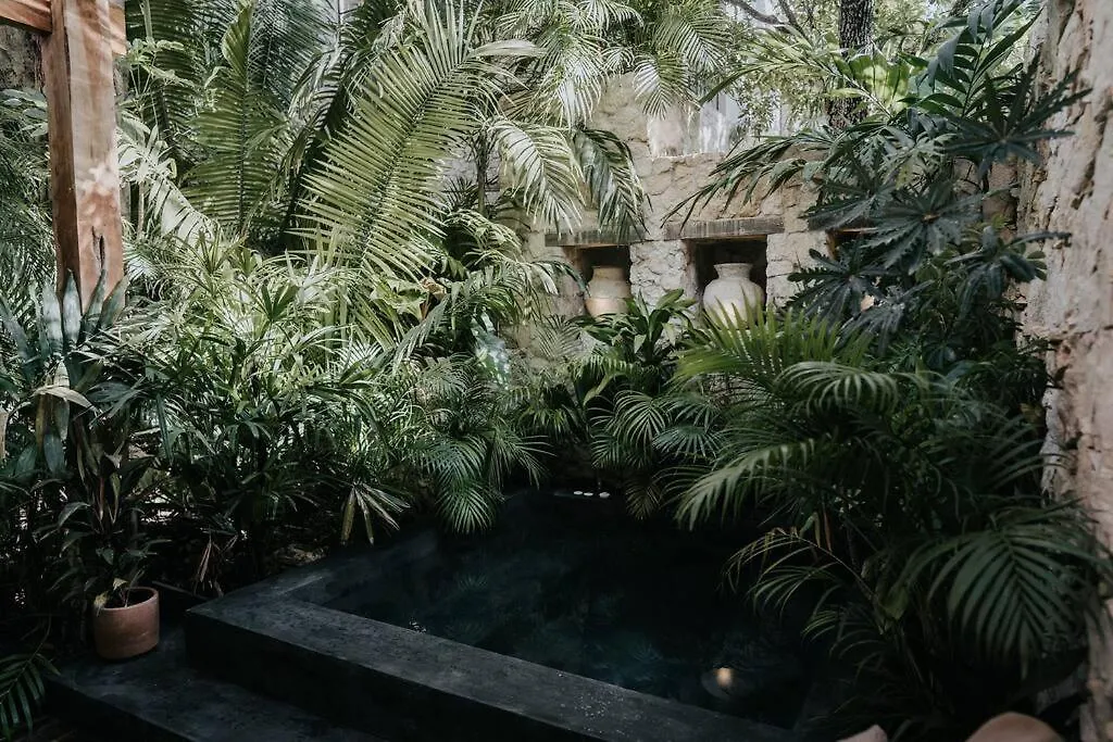 Design Loft With Private Pool And Spa Like Feature Tulum 0*,  Mexico